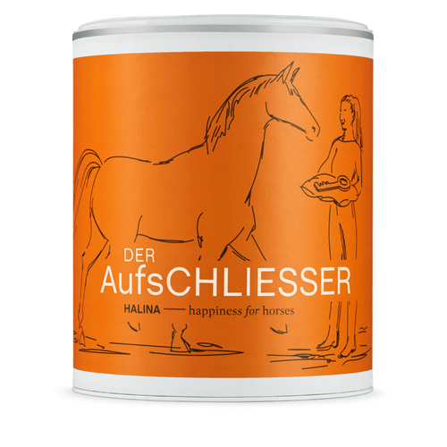 DerAufschliesser