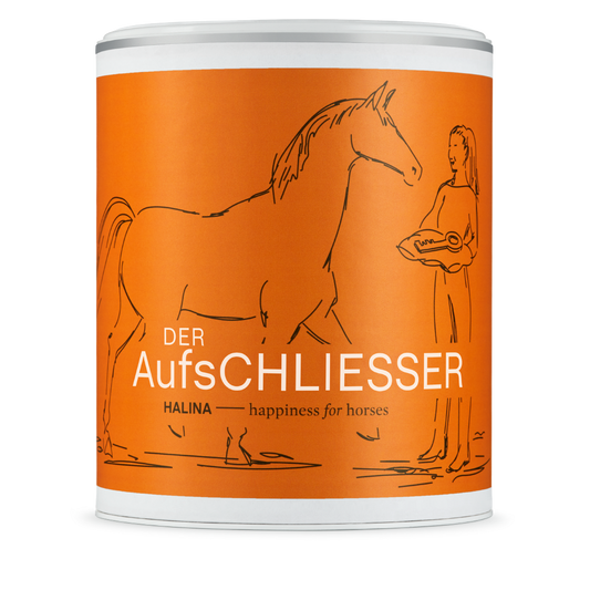 DerAufschliesser