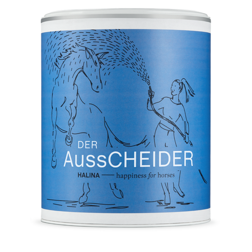 DerAusscheider