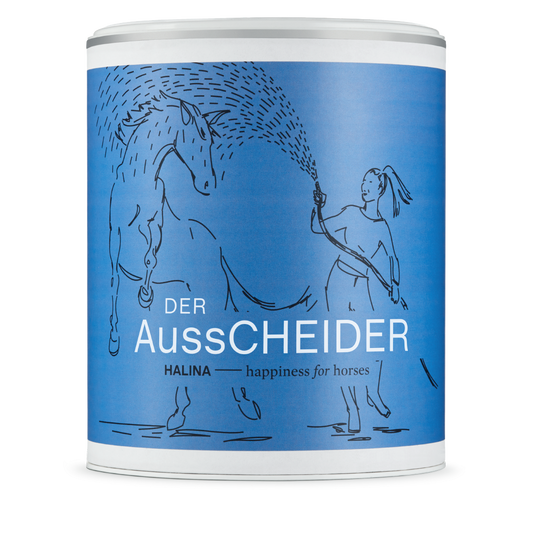 DerAusscheider