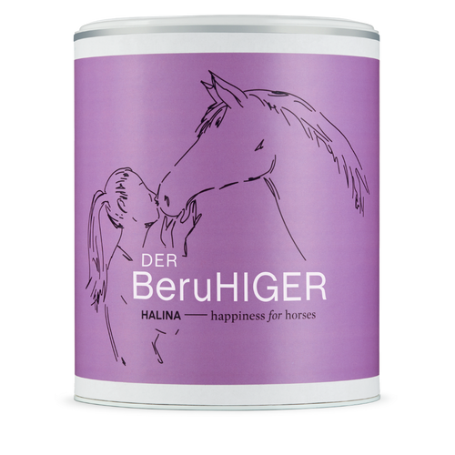 DerBeruhiger