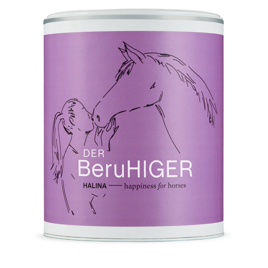 DerBeruhiger