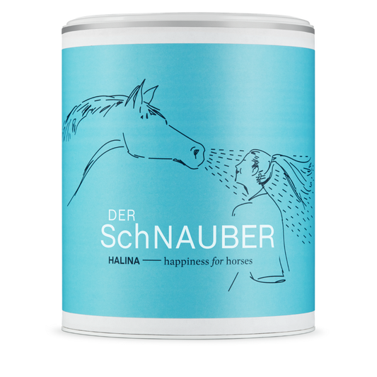 DerSchnauber